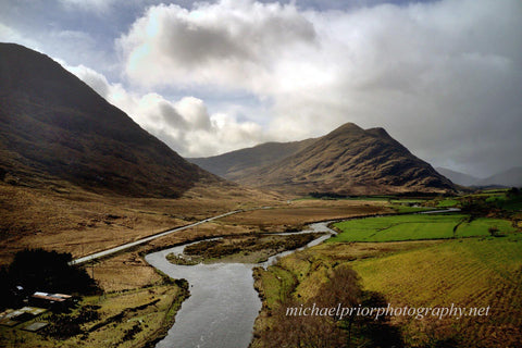 The Field in Connemara