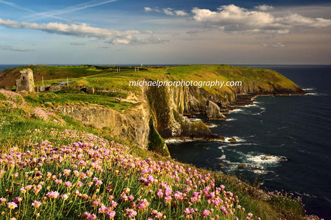 Flowers at the Oldhead