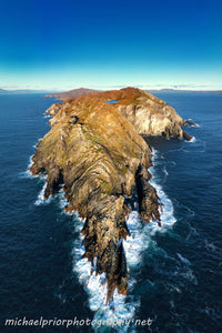 Sheep's Head From The Sea