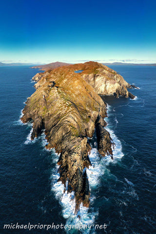 Sheep's Head From The Sea