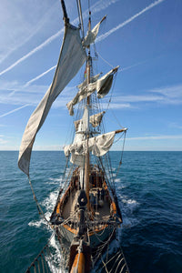 The Earl Of Pembroke - Michael Prior Photography 