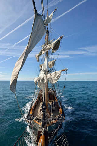 The Earl Of Pembroke - Michael Prior Photography 