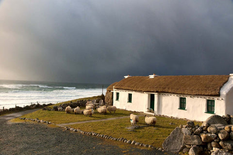 Thatch Cottage At Sunset - Michael Prior Photography 