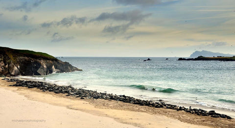 Seals On Trá Bán - Michael Prior Photography 