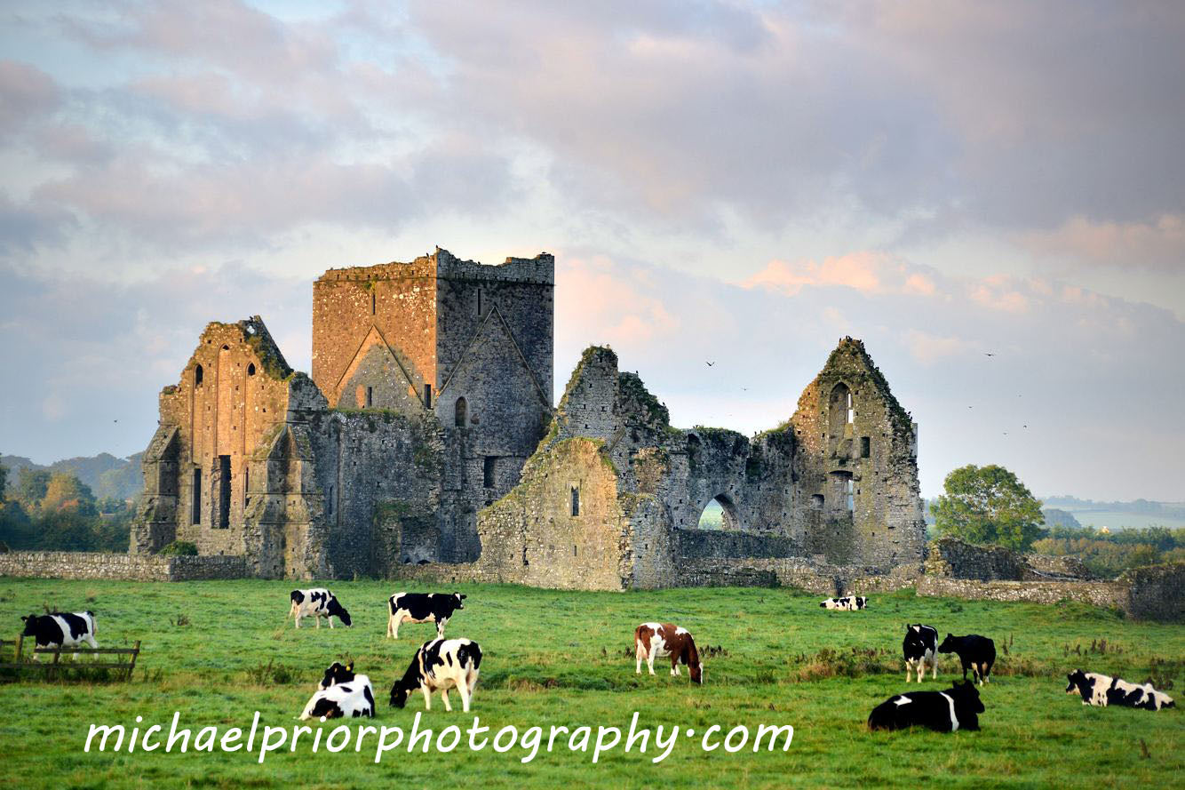 Hore Abbey In Cashel Co Tipperary