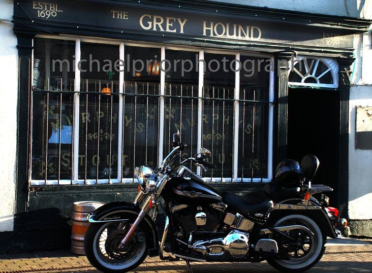 The Grey Hound - Michael Prior Photography 