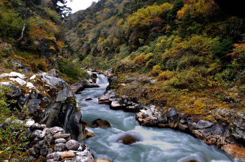 Himalayan Stream - Michael Prior Photography 