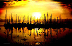 Kinsale Marina At Sunrise - Michael Prior Photography 