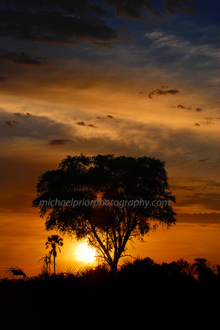 African Sunset - Michael Prior Photography 