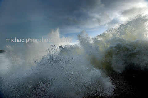 Too Close - Michael Prior Photography 